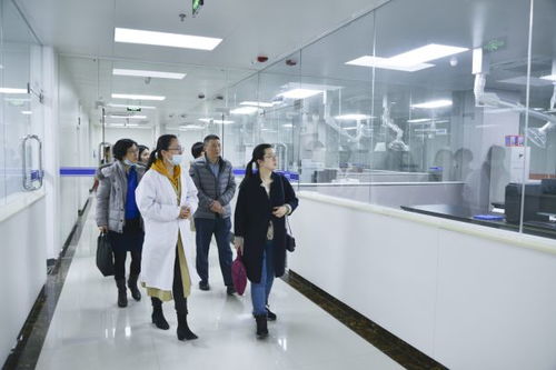 審計署長沙特派辦積極關(guān)注高新技術(shù)服務(wù)等重大建設(shè)項目進(jìn)展情況