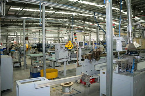 外商加大在奉賢投資力度,隆福拉索新工廠開業(yè)