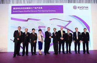 數千萬歐元投資驅動新工廠投產，贏創以資產管理策略鞏固有機硅表面活性劑全球領先地位